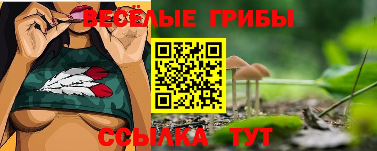 Вышний Волочёк  Галлюциногенные грибы GOLDEN TEACHER  Псилоцибиновые грибы ЛСД  Вход с VPN 