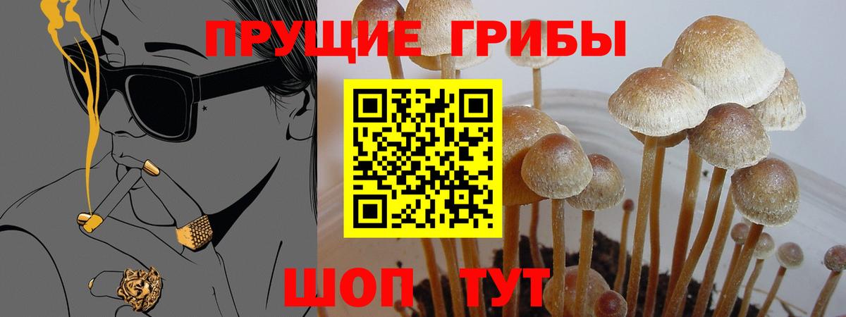 Галлюциногенные грибы ЛСД Вышний Волочёк