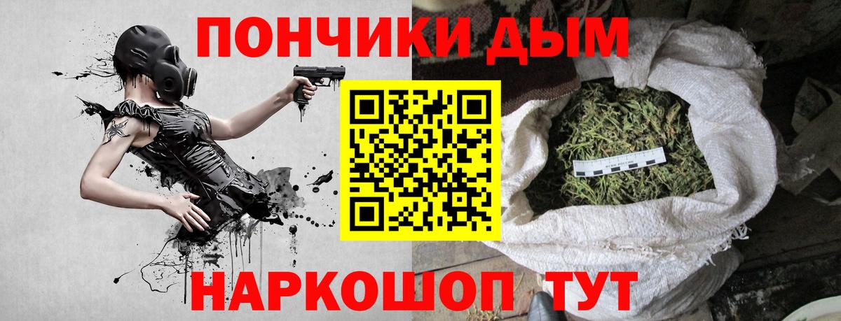 Конопля сатива Вышний Волочёк